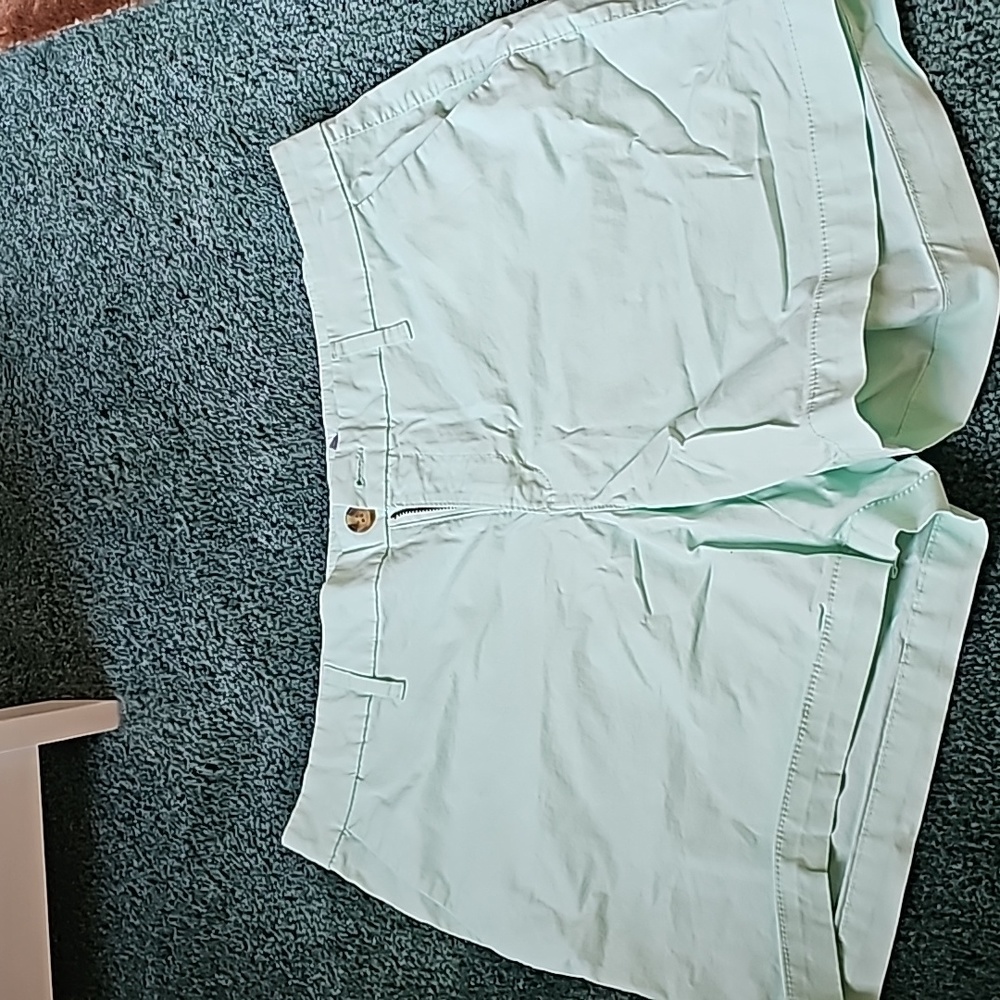 Mint colored shorts